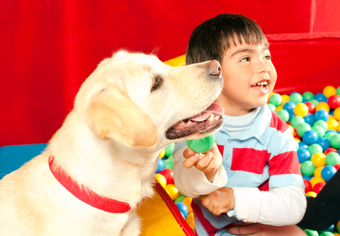 Kind mit Hund bei tiergestützter Therapie